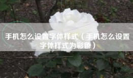 手机怎么设置字体样式（手机怎么设置字体样式为彩色）