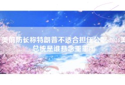 美前防长称特朗普不适合担任公职 2024美总统是谁悬念重重(3)