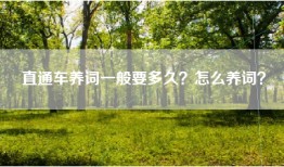直通车养词一般要多久？怎么养词？