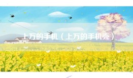 上万的手机（上万的手机壳）