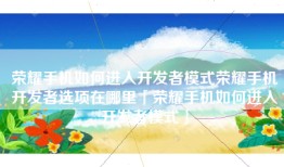 荣耀手机如何进入开发者模式荣耀手机开发者选项在哪里「荣耀手机如何进入开发者模式」