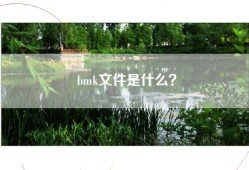 bmk文件是什么？