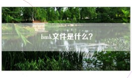 bmk文件是什么？