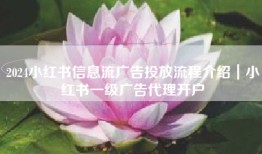 2024小红书信息流广告投放流程介绍｜小红书一级广告代理开户