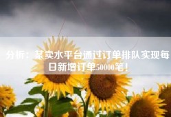 分析：某卖水平台通过订单排队实现每日新增订单50000笔！