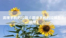 清理手机的垃圾（清理手机的垃圾怎么清理）