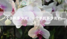 一个手机多少克（一个手机多少克iPhone）