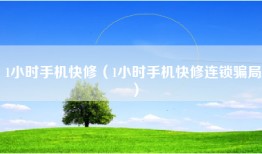 1小时手机快修（1小时手机快修连锁骗局）