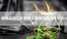 值得买的二手手机（值得买的二手手机2024）