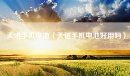 天语手机电池（天语手机电池好用吗）