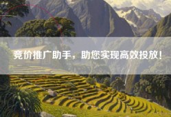 竞价推广助手，助您实现高效投放！