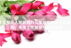 崇安区人民政府办公室领导团队全新亮相，未来工作展望与战略规划