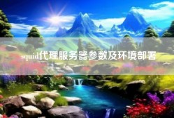 squid代理服务器参数及环境部署