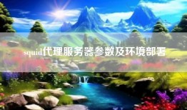 squid代理服务器参数及环境部署
