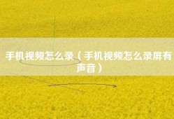 手机视频怎么录（手机视频怎么录屏有声音）