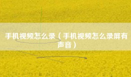 手机视频怎么录（手机视频怎么录屏有声音）