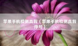 苹果手机检测真假（苹果手机检测真假序号）