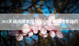 2021关键词搜索排行_2020关键词搜索排行