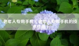 老年人专用手机（老年人专用手机的技术性质）