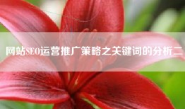 网站SEO运营推广策略之关键词的分析二