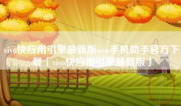 vivo快应用引擎最新版vivo手机助手官方下载「vivo快应用引擎最新版」