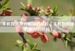 手机如何找回删除的照片（手机如何找回删掉的照片）