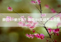 微信SEO是什么？微信SEO实战方法总结