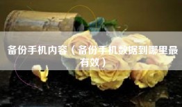 备份手机内容（备份手机数据到哪里最有效）