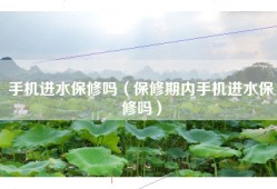 手机进水保修吗（保修期内手机进水保修吗）