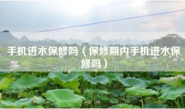 手机进水保修吗（保修期内手机进水保修吗）