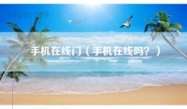 手机在线门（手机在线吗？）