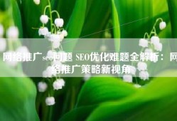 网络推广seo问题 SEO优化难题全解析：网络推广策略新视角