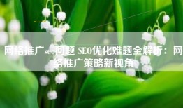 网络推广seo问题 SEO优化难题全解析：网络推广策略新视角