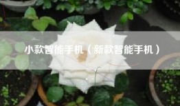 小款智能手机（新款智能手机）