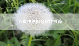 百度快速排名软件推荐