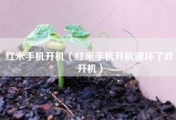 红米手机开机（红米手机开机键坏了咋开机）