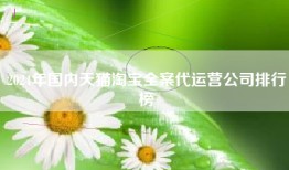 2024年国内天猫淘宝全案代运营公司排行榜