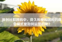 原创社群团购中，良久和爱购团购的商业模式是如何运营的呢？