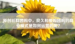 原创社群团购中，良久和爱购团购的商业模式是如何运营的呢？