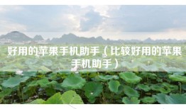 好用的苹果手机助手（比较好用的苹果手机助手）
