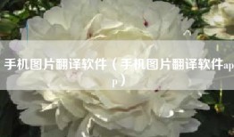 手机图片翻译软件（手机图片翻译软件app）