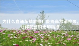 为什么直通车精准推广能提高营销效果，让你的营销更加精准