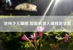 沧州少儿编程-智能机器人编程游学营