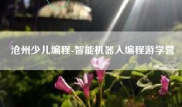 沧州少儿编程-智能机器人编程游学营