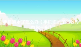 手机泡水了怎么办（手机泡水了怎么办教你一招）