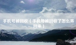手机号被回收（手机号被回收了怎么弄回来）
