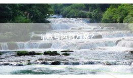 ip账号运营方案？