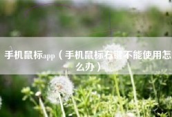 手机鼠标app（手机鼠标右键不能使用怎么办）