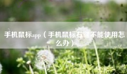 手机鼠标app（手机鼠标右键不能使用怎么办）