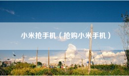 小米抢手机（抢购小米手机）